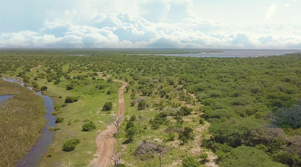 Aerial view of green land and river