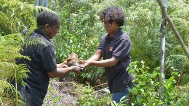 EFL Madagascar: Life on Land