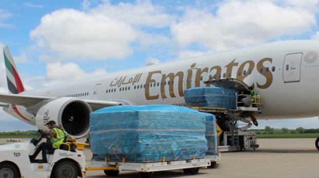 Airplane being loaded