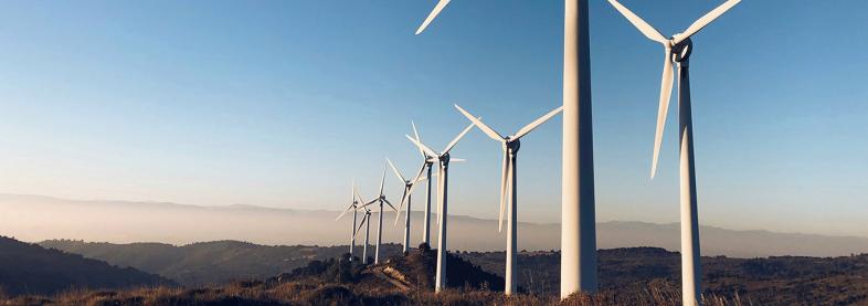 Windmill farm in the California hills